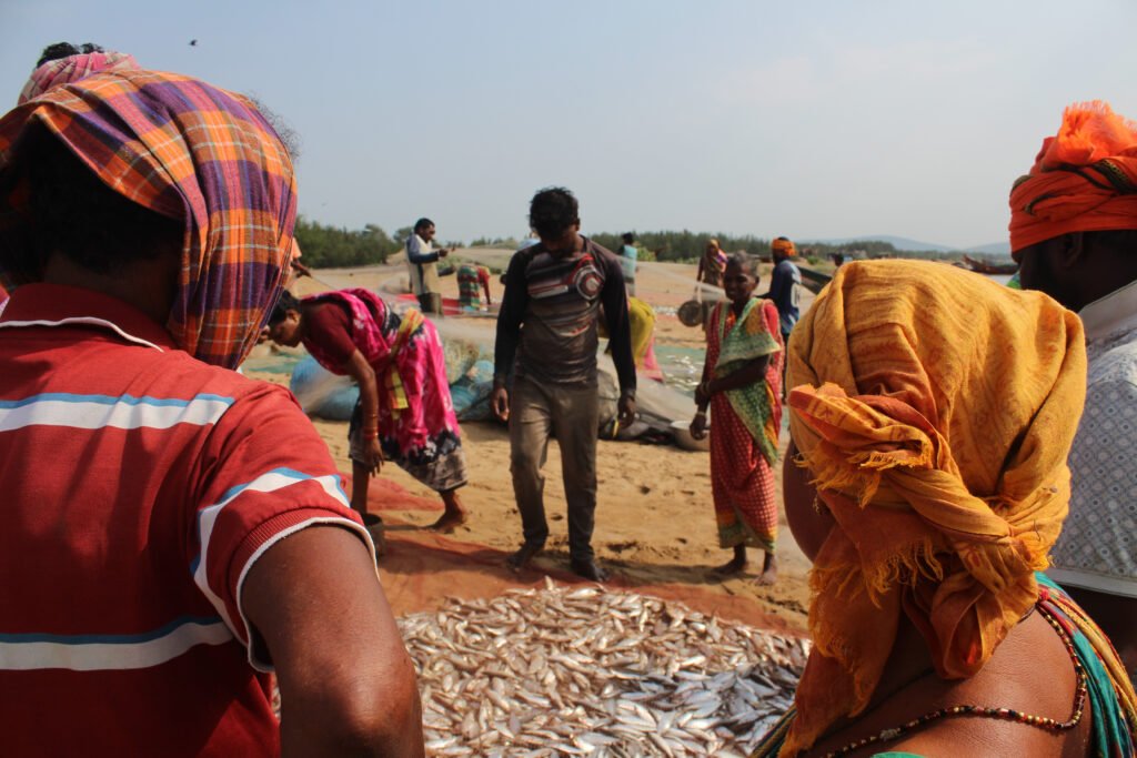 A group of men in bright shirts gather on the beach, looking down at a large pile of small fish. The focus is on their physical labor as they sort the catch in the sunlight.