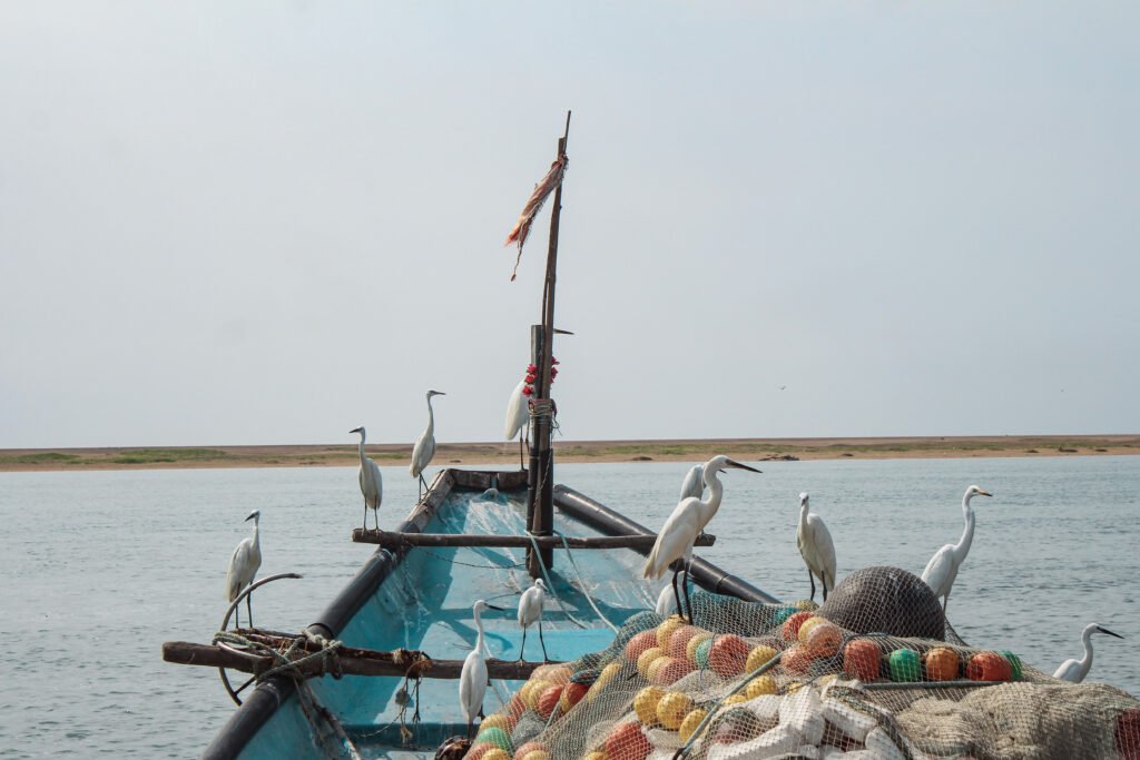 A single blue wooden boat rests calmly on the water under a soft, hazy sky. Several white egrets are perched quietly along the boat's edges and resting nets.